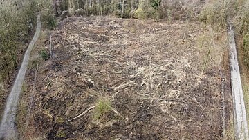 Über 9100 Bäume für Beckumer Wald Polaroid Eine eingezäunte Brache.