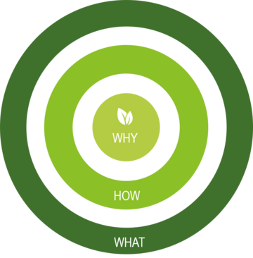 Leitbild Symbolgrafik zu Leitbild mit grünen Kreisen und den Wörtern Why, How und What