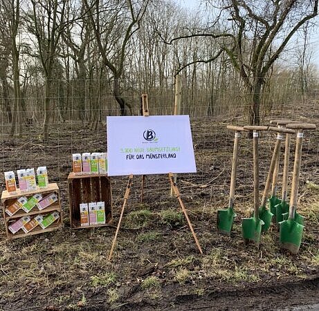 Über 9100 Bäume für Beckumer Wald Berief Plakat auf einem Aufsteller vor einem Wald mit Berief Getränkekartons im Hintergrund.