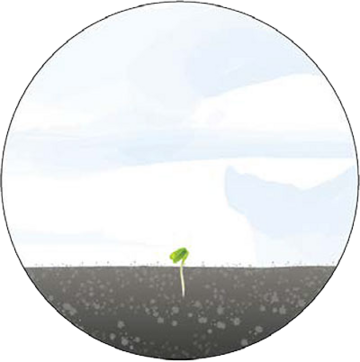 Pflanze 2 Grafik mit Pflanzenwachstum Stufe 2: Kleiner Keimling