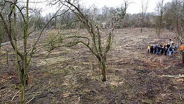 Über 9100 Bäume für Beckumer Wald Polaroid Eine Brache mit wenigen Bäumen, auf der Menschen umhergehen.
