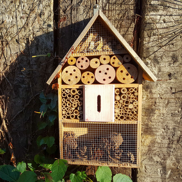 Insektenhotel Ein Insektenhotel an einem Holzzaun, an dem einige Blätter wachsen.