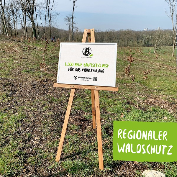 Neue Baumsetzlinge für das Münsterland Aufsteller zum Thema regionaler Waldschutz auf einer Wiese vor einem Wald